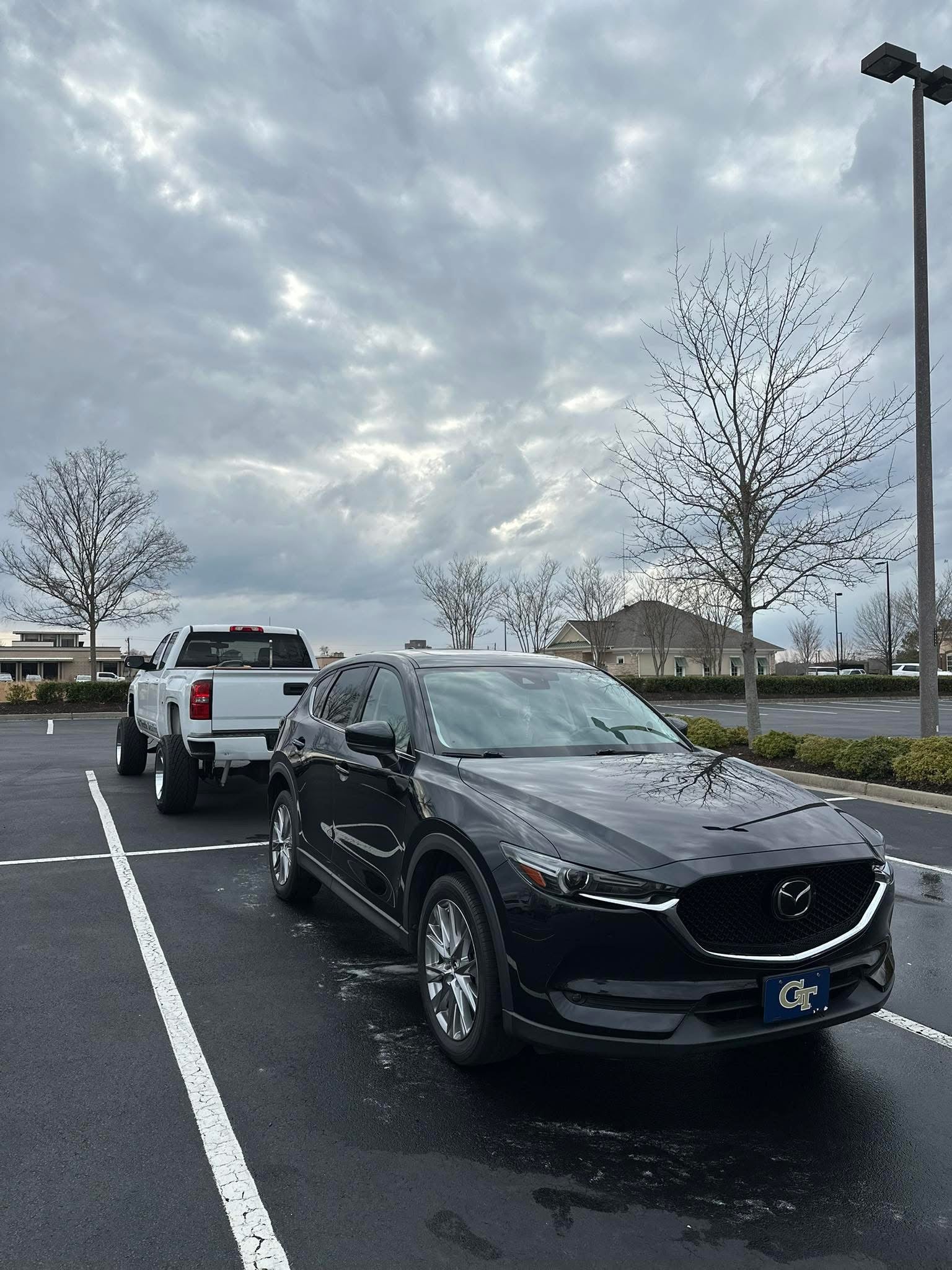 Exterior Detail & Wax